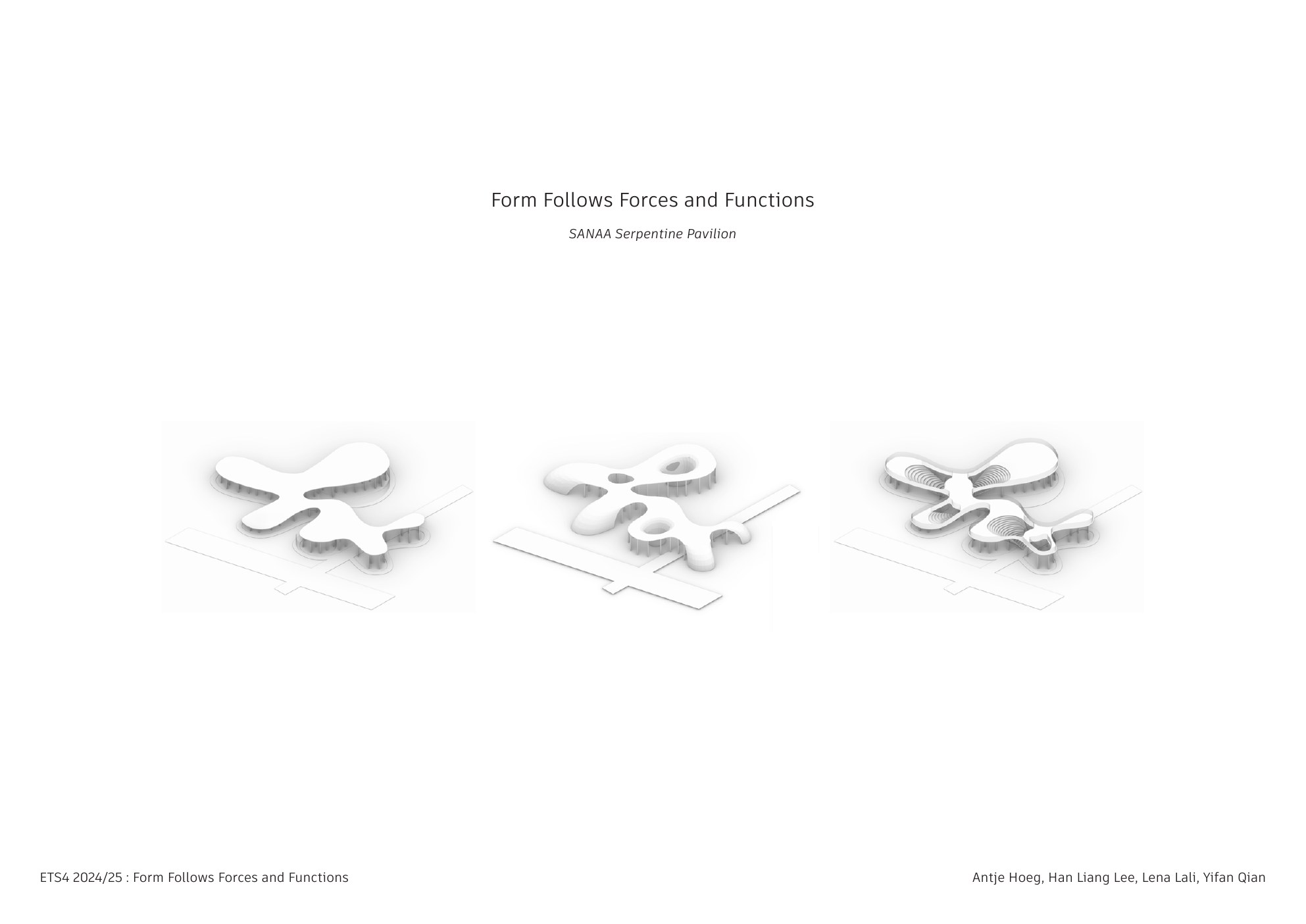 Form Follows Forces and Functions, portfolio page 1