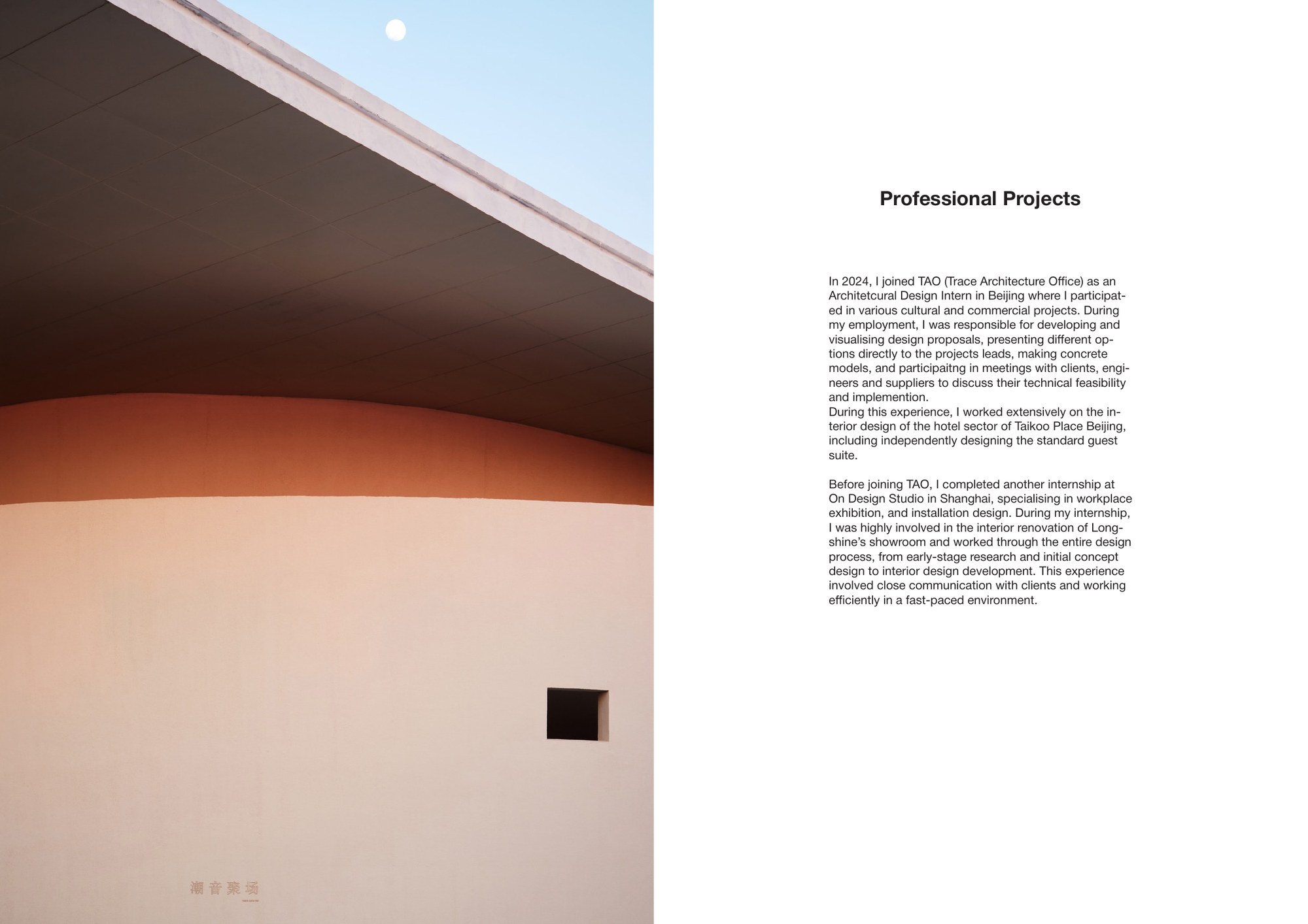 Professional Projects, portfolio page 1